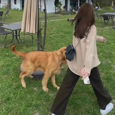 全家度蜜月